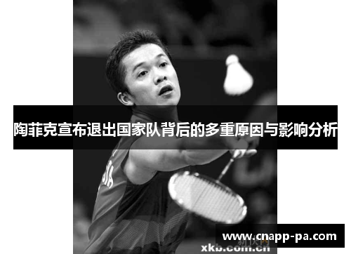 陶菲克宣布退出国家队背后的多重原因与影响分析