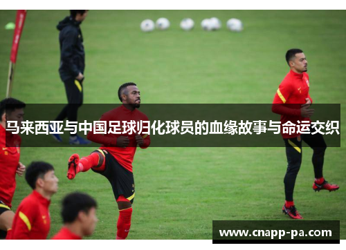 马来西亚与中国足球归化球员的血缘故事与命运交织
