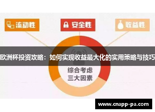 欧洲杯投资攻略：如何实现收益最大化的实用策略与技巧