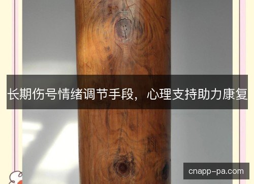 长期伤号情绪调节手段，心理支持助力康复