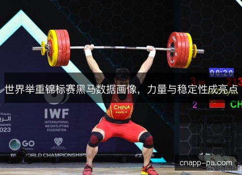 世界举重锦标赛黑马数据画像，力量与稳定性成亮点